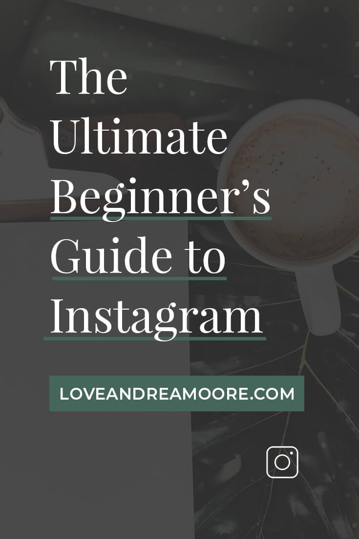guide to instagram